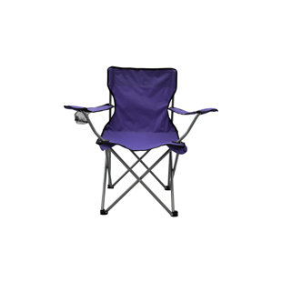 Wayfair deals directors chair